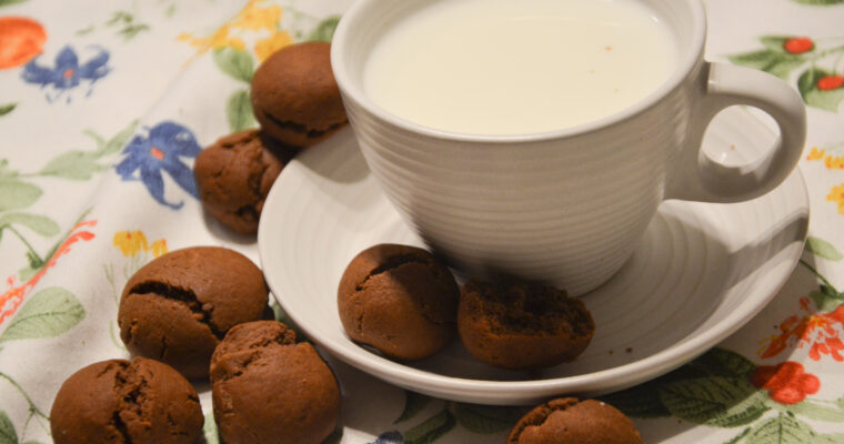 Biscotti al Cioccolato (senza burro)