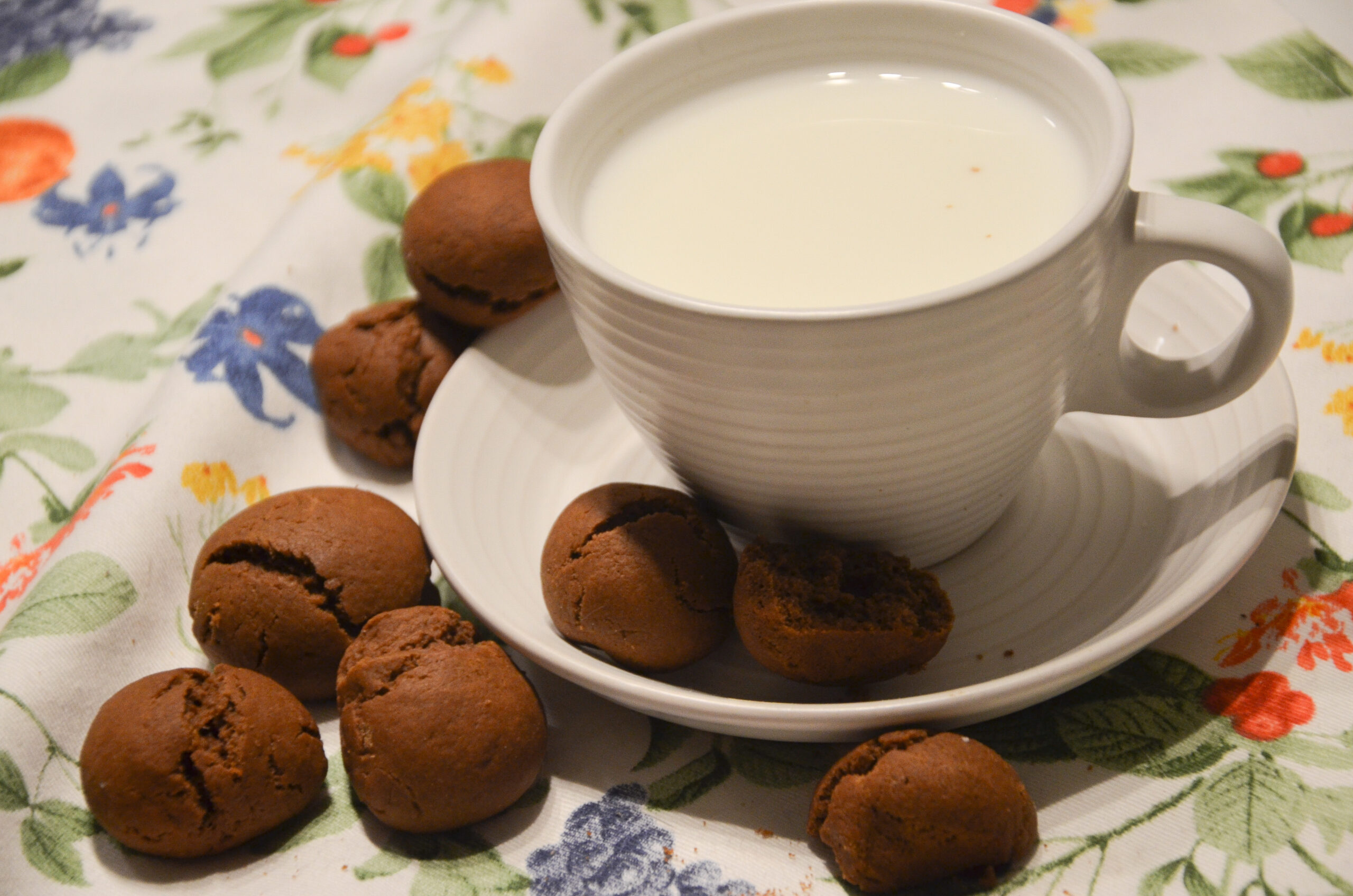 Biscotti al Cioccolato (senza burro)